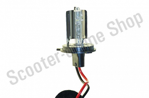 Лампа ксеноновая H4 (12V 35W DC AMP)   4300K фото фотография изображение картинка