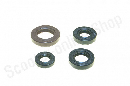 Сальники двигателя 174MN-3 (CBS300) ZS фото фотография изображение картинка