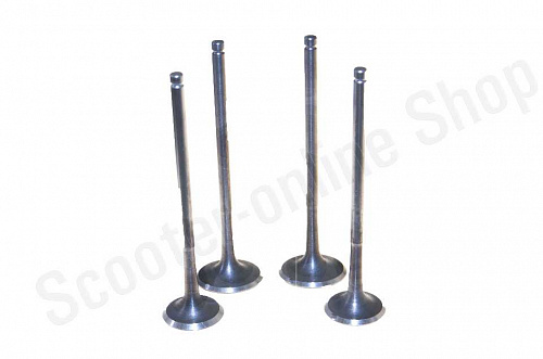 Клапаны  ZS174MN-3  CBS300  комплект 4шт  фото фотография изображение картинка