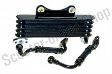 Радиатор масляный 156FMJ (в сборе); TTR150