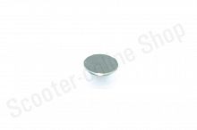 Магнит ведомой звезды WELS EVO125 (317007002003)