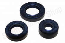 Сальники двигателя СВ125-250 (157FMI,163 FMJ, 166FMM)  комплект 3шт 