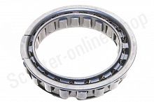 Подшипник обгонной муфты 165FMM TTR250