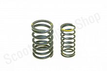 Пружины клапанов (внутренняя и внешняя)  WELS EVO 125 