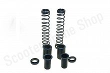 Ремкомплект передней вилки Delta Dingo Zodiak  d-25  2 пружины, 4 втулки