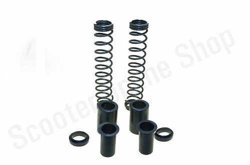 Ремкомплект передней вилки Delta Dingo Zodiak d-25 2 пружины, 4 втулки фото фотография изображение картинка Ремкомплект передней вилки Delta Dingo Zodiak d-25 2 пружины, 4 втулки фото фотография изображение картинка