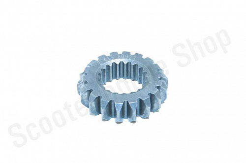 Шестерня маслонаса 174MN-3 (CBS300) фото фотография изображение картинка