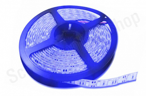 Светодиодная лента 60 LED5050, 12В, 5м, син.цв, IP65 фото фотография изображение картинка