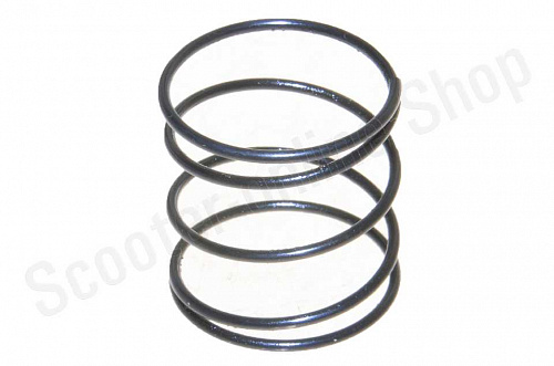 Пружина сцепления F50/F80 фото фотография изображение картинка