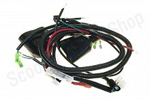 Проводка  TTR250a