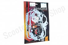 Прокладки двигателя 139FMB Delta Alpha 70сс d-47