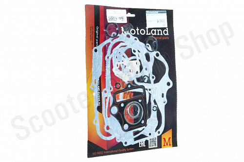 Прокладки двигателя 139FMB Delta Alpha 70сс d-47 фото фотография изображение картинка