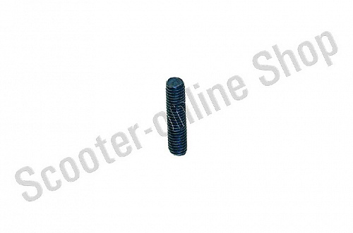 Шпилька патрубка Веломотор F50  фото фотография изображение картинка