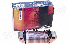 Катушка генератора (большая) 139FMB,147FMH,152FMH 50-110см3