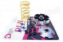 Вариатор в сборе тюнинг AD100  ролики 9г  "DLH"