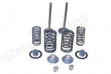 Клапаны + ремкомплект  152QMI D-24  d-22  L-65  "Komatcu" 