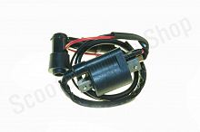 Катушка зажигания 139FMB Delta F6