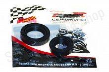 Сальники коленвала Honda Dio 15.5*25.5*7, 20*31*7 2 штуки