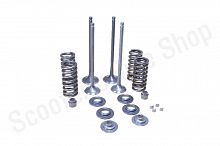 Рем. комплект клапанов ГРМ 174MN-3 (CBS300) ZS