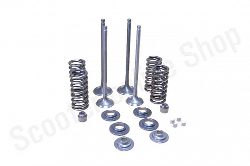 Рем. комплект клапанов ГРМ 174MN-3 (CBS300) ZS фото фотография изображение картинка