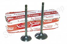 Клапаны CG250  D-28.5 H-89 D-34 H-91 163FML  165FML 165FMM 165FMM  X-TECH