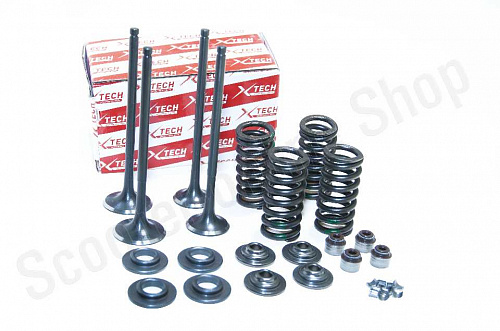 Ремкомплект клапанов ГРМ 174MN-3 (CBS300)  28/24 h-100  d-5 X-TECH фото фотография изображение картинка