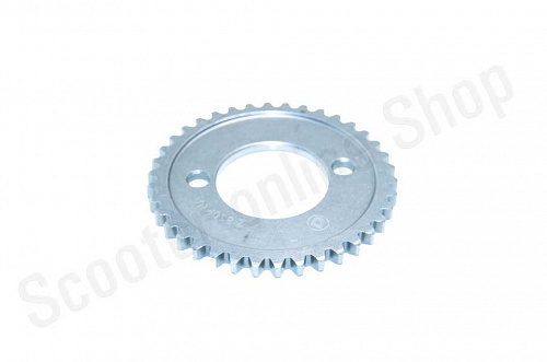 Шестерня ГРМ 174MN-3 (CBS300) фото фотография изображение картинка