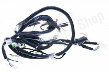 Проводка   157QMJ 150сс под 2 фары 