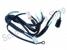 Жгут проводки питбайк 125cc