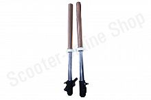 Амортизаторы передние TTR250Rb  L-895, d48×51