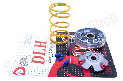 Вариатор в сборе  тюнинг 139QMB  ролики 9г  "DLH"