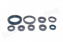 Сальники двигателя 194MQ (NC450)  ZS