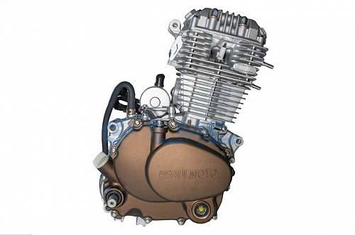 Двигатель ZS165FMM  CB250D-G  возд. охл., электростартер фото фотография изображение картинка