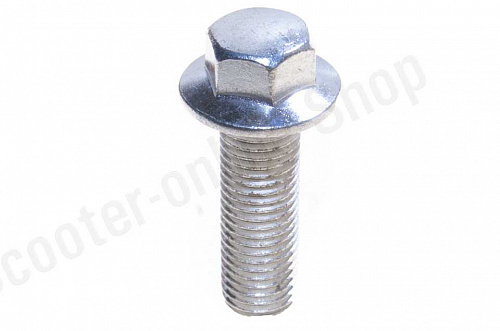 Болт крепления звезды ГРМ   Delta   "MOZBA" фото фотография изображение картинка