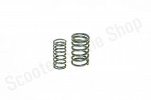 Пружины клапана 139FMB Alpha Delta  комплект 2шт