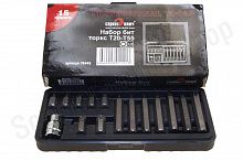 Набор бит (15 предметов) торкс Т20-55 Сервис Ключ