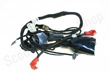 Проводка FX 250/300/450 Motoland
