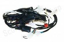 Жгут проводов 164FML, 166FMM Racer RC200-250GY-C2 Panther