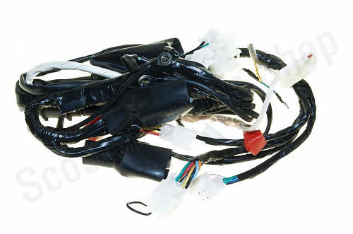 Жгут проводов 164FML, 166FMM Racer RC200-250GY-C2 Panther фото фотография изображение картинка