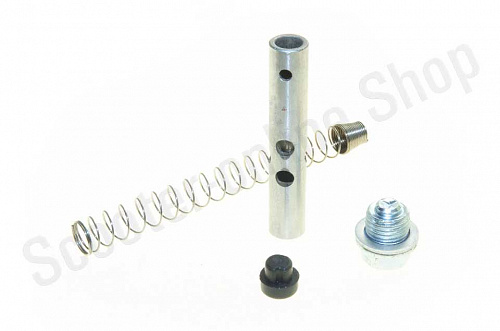 Натяжитель ГРМ (пружина+шток+пробка) 139FMB 147FMH 152FMH 50-110сс фото фотография изображение картинка