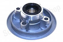 Демпфер заднего колеса + подшипник + сальник DELTA, ALPHA