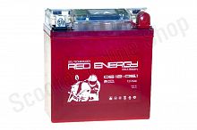Аккумулятор DS 1205.1 Red Energy жк дисплей 120x61x129