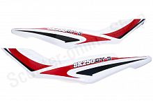 Облицовка боковая задняя Senke 250GY-5, 200GY-5 (Красный, , RM-804-29-3)