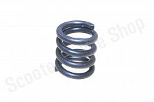 Пружина вала сцепления  F50 F80