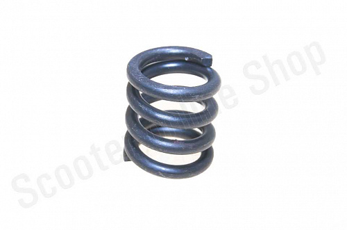 Пружина вала сцепления  F50 F80 фото фотография изображение картинка