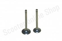 Клапаны 139FMB (d=17/18) DELTA ALPHA ATV50