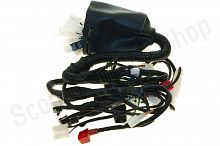Проводка TTR250Rb