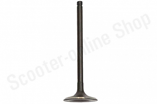 Клапан выпускной ZS166FMM CB250 фото фотография изображение картинка Клапан выпускной ZS166FMM CB250 фото фотография изображение картинка