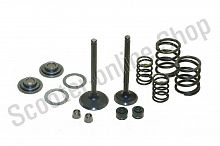 Клапаны + ремкомплект YX1P60FMK YX160