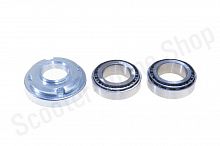 Подшипник руля  Delta, TTR125  41Х24 комплект